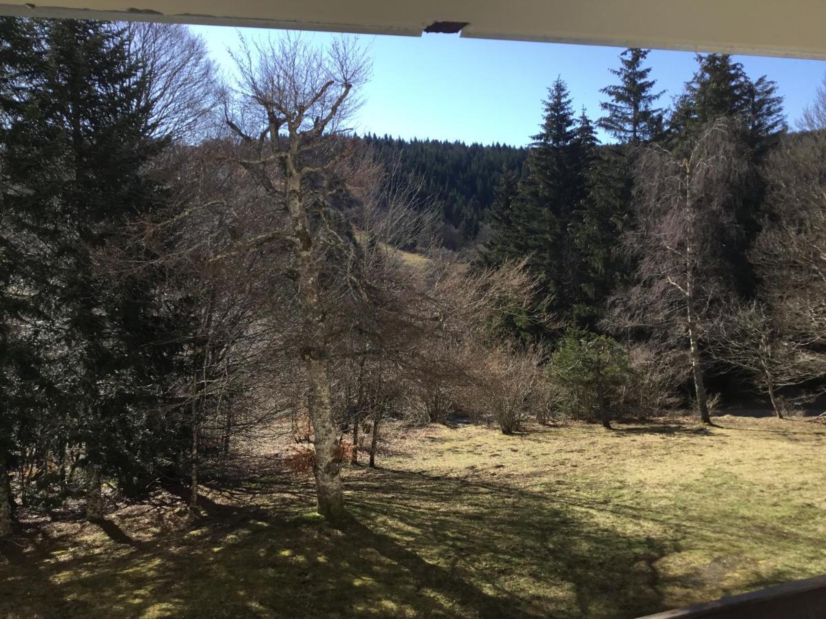 Lo Vedelier D'Aubrac Lejlighed Laguiole Eksteriør billede