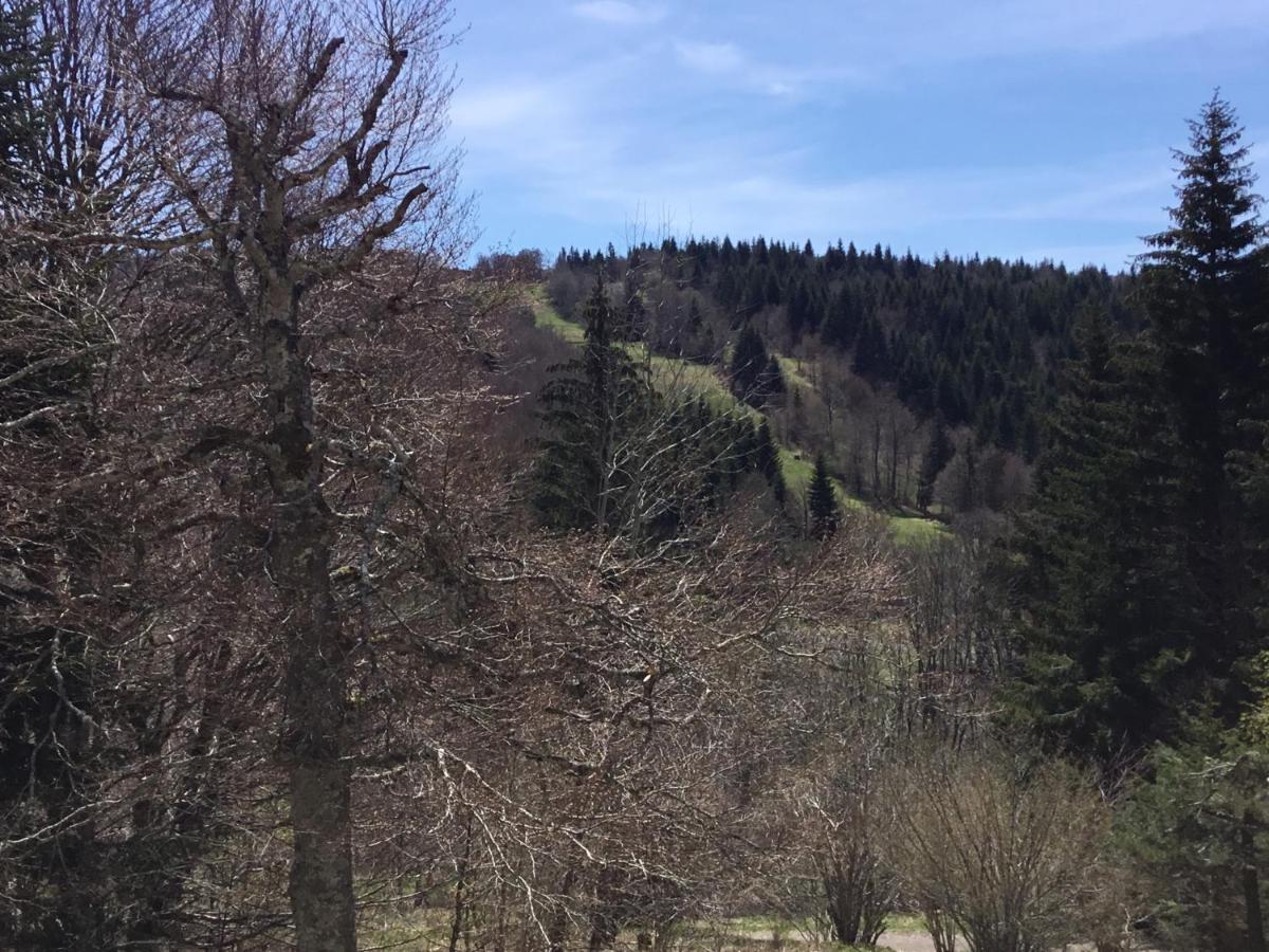 Lo Vedelier D'Aubrac Lejlighed Laguiole Eksteriør billede