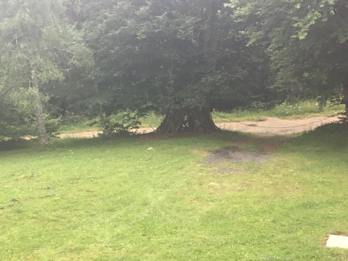 Lo Vedelier D'Aubrac Lejlighed Laguiole Eksteriør billede